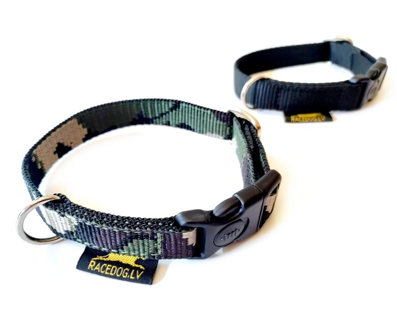 RACEDOG collar FOREST for small dogs