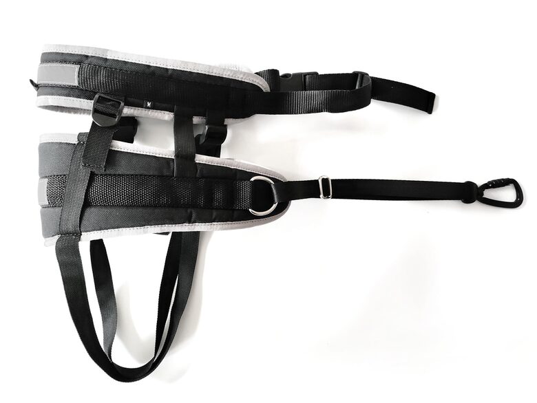 Racedog canicross belt Advanced