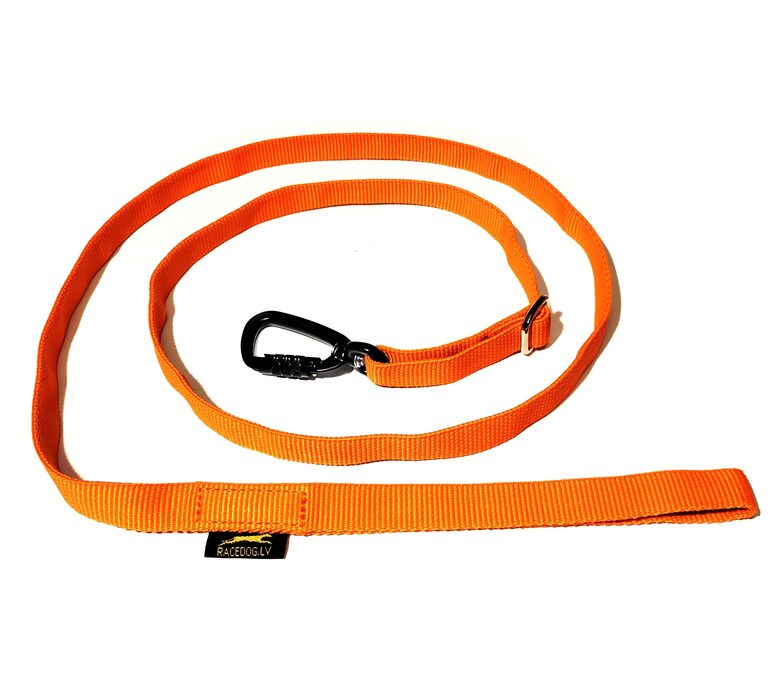 Adjustable walking leash with aluminum carabiner