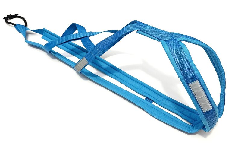 Racedog padded harness Xback Zemgus Comfort