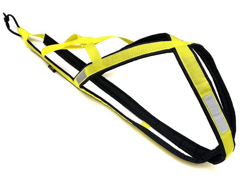 XBack Ausma Soft Padded Harness