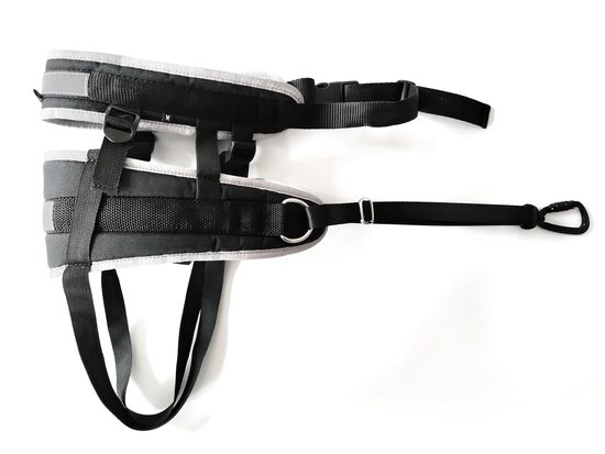 Racedog canicross belt Advanced