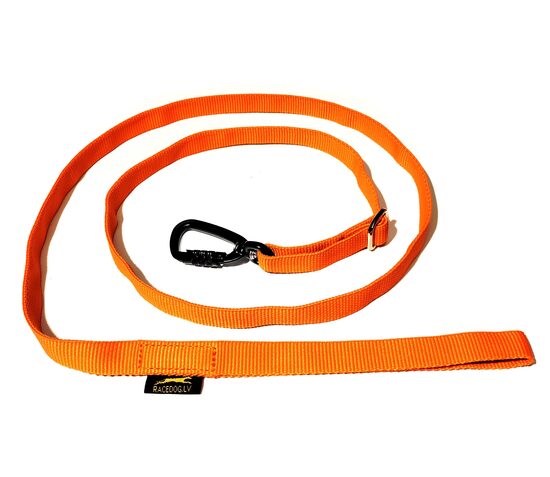 Adjustable walking leash with aluminum carabiner