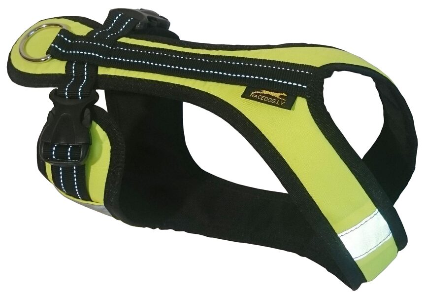 Racedog padded reflective harness Half