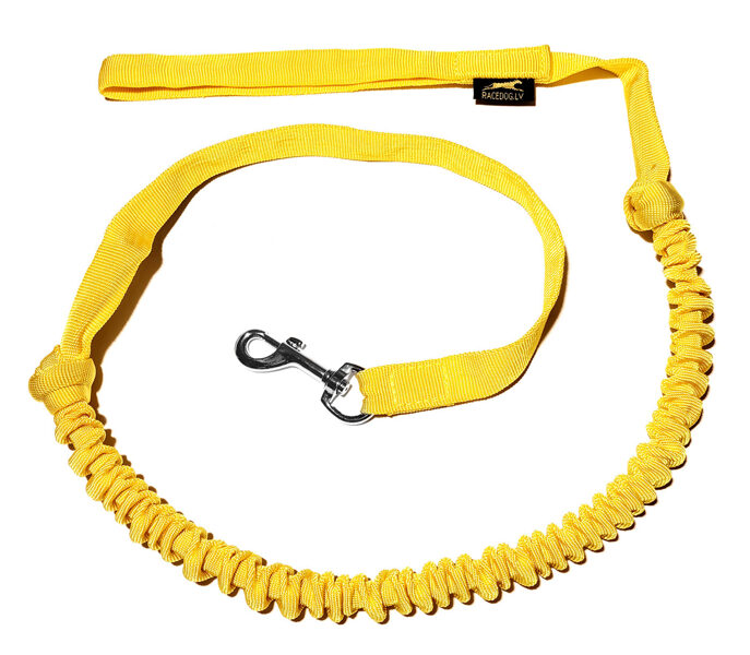 Suņu elastīgā kanikrosa / pastaigu pavada 2 m