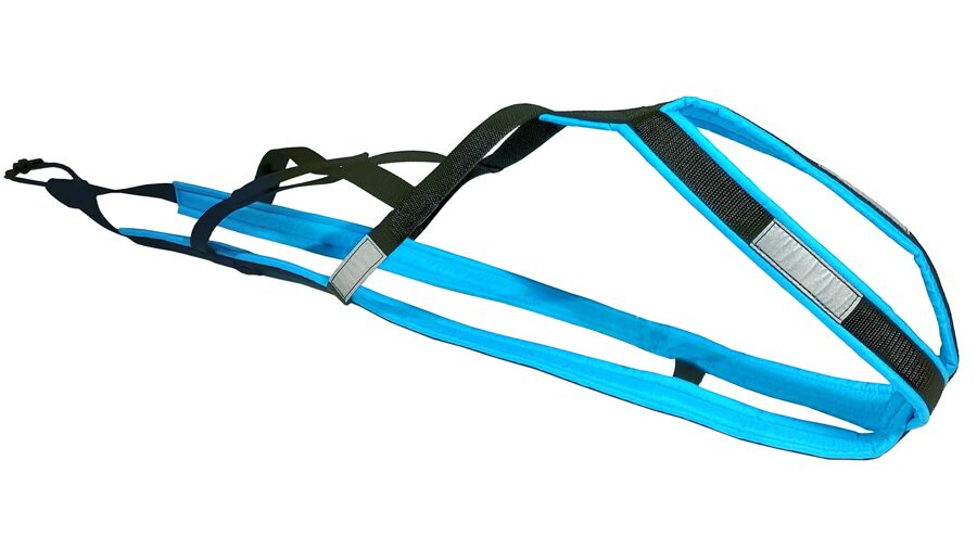 Xback Zemgus Turquoise Padded Racedog Harness 
